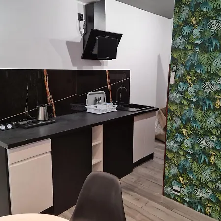 Eldom-Noclegi Rogozinska 29E Wągrowiec Exterior foto